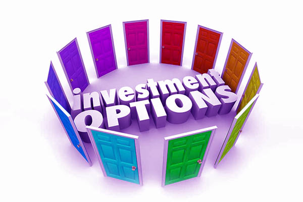 Options Investment